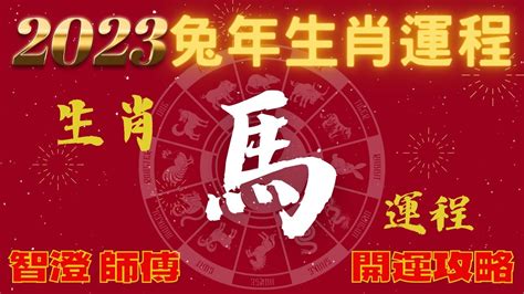 兔年財運|【屬兔2024生肖運勢】是非多人氣旺，運勢漸入佳。